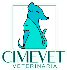branding logo